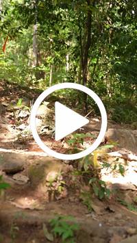 BIB:  <button type="button" onclick="openModal(27610532)" class="btn btn-primary btn-sm float-right" data-toggle="modal" data-target=".modal-high-quality">
                <i class="fa fa-download"></i> Download
                </button>